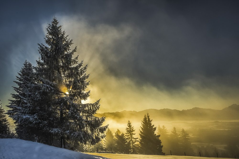 2. Platz Conn Kleiner